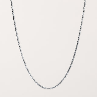 Collana charm lunga Argento donna elegante – gioiello raffinato luxury
