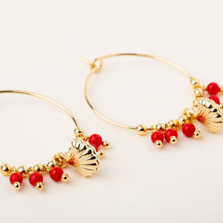 Shell Hoop