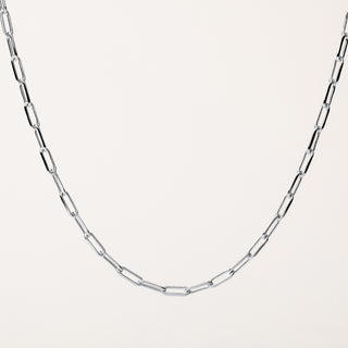 Collana lunga Argento catena link