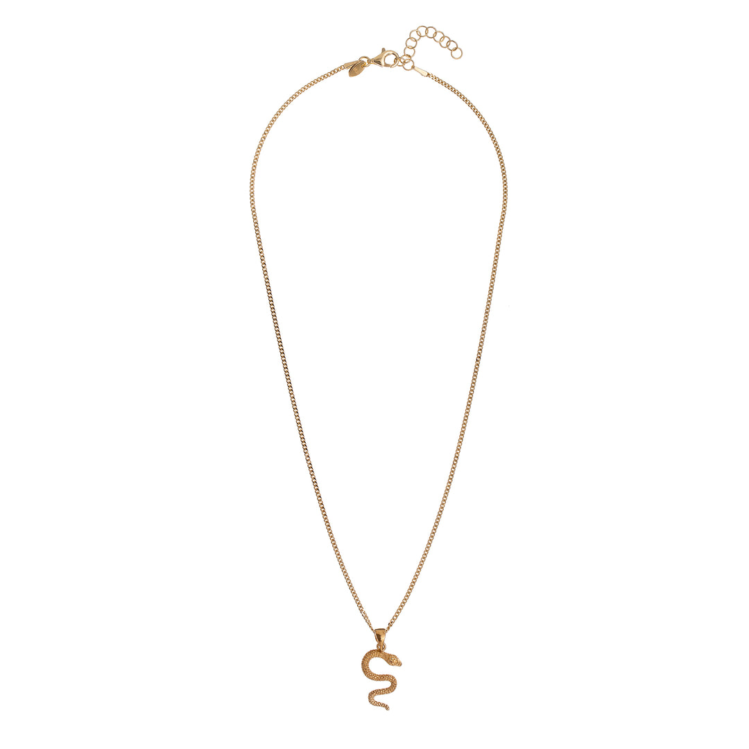 Collana DOWAY Halloween Con Ciondolo Serpente Scheletro: Placcata Oro/Argento, Gioiello In Metallo Per Donna. Accessorio Da Festa Unico.